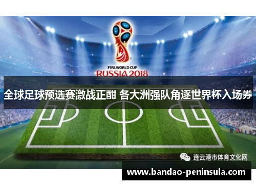 全球足球预选赛激战正酣 各大洲强队角逐世界杯入场券