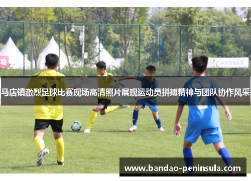 马店镇激烈足球比赛现场高清照片展现运动员拼搏精神与团队协作风采
