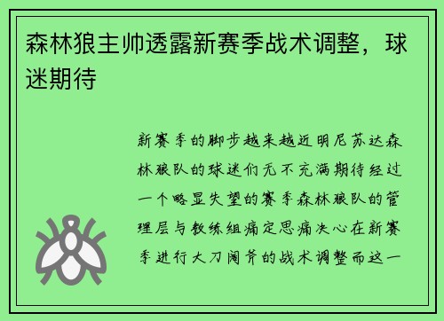 森林狼主帅透露新赛季战术调整，球迷期待